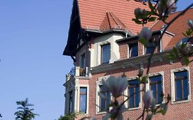 Goldrausch - Glanzvolle Ferienwohnung in Meißen am Lutherplatz